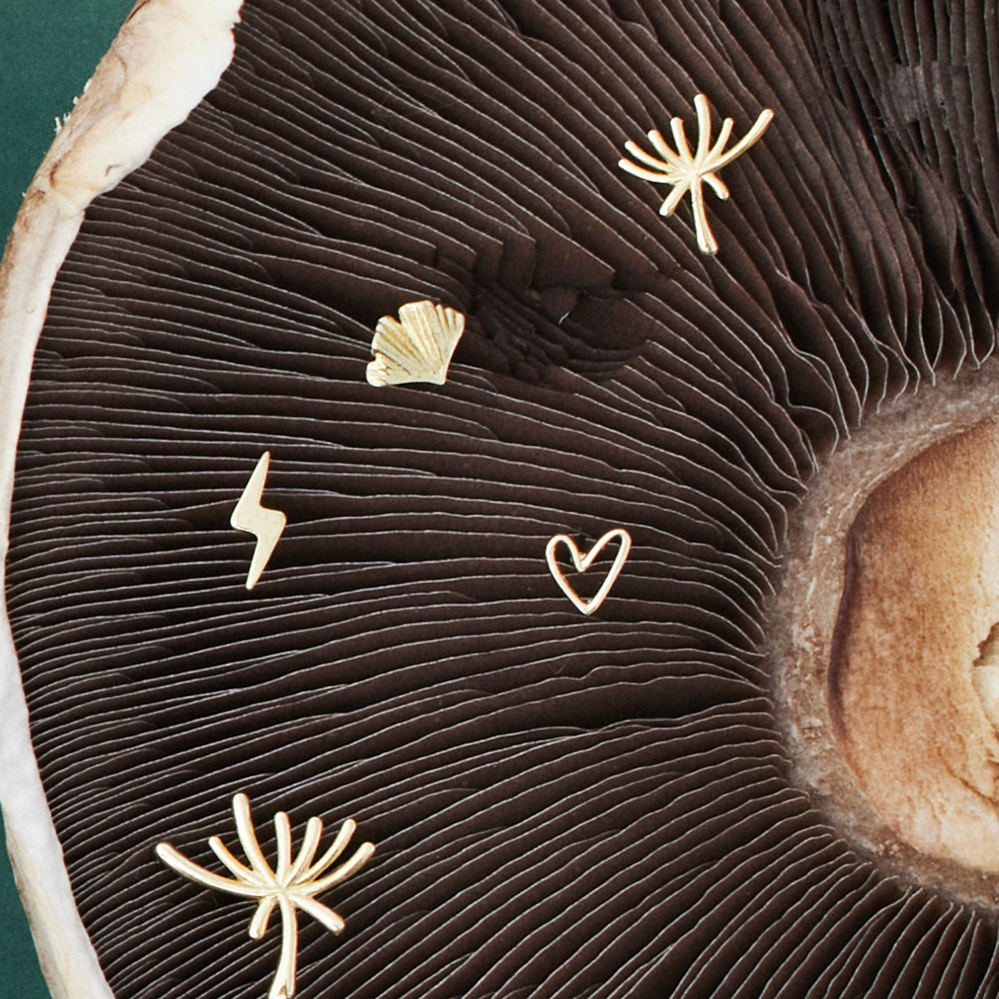 Øreringe hjerteørestik i genbrugsguld 18 karat massivt