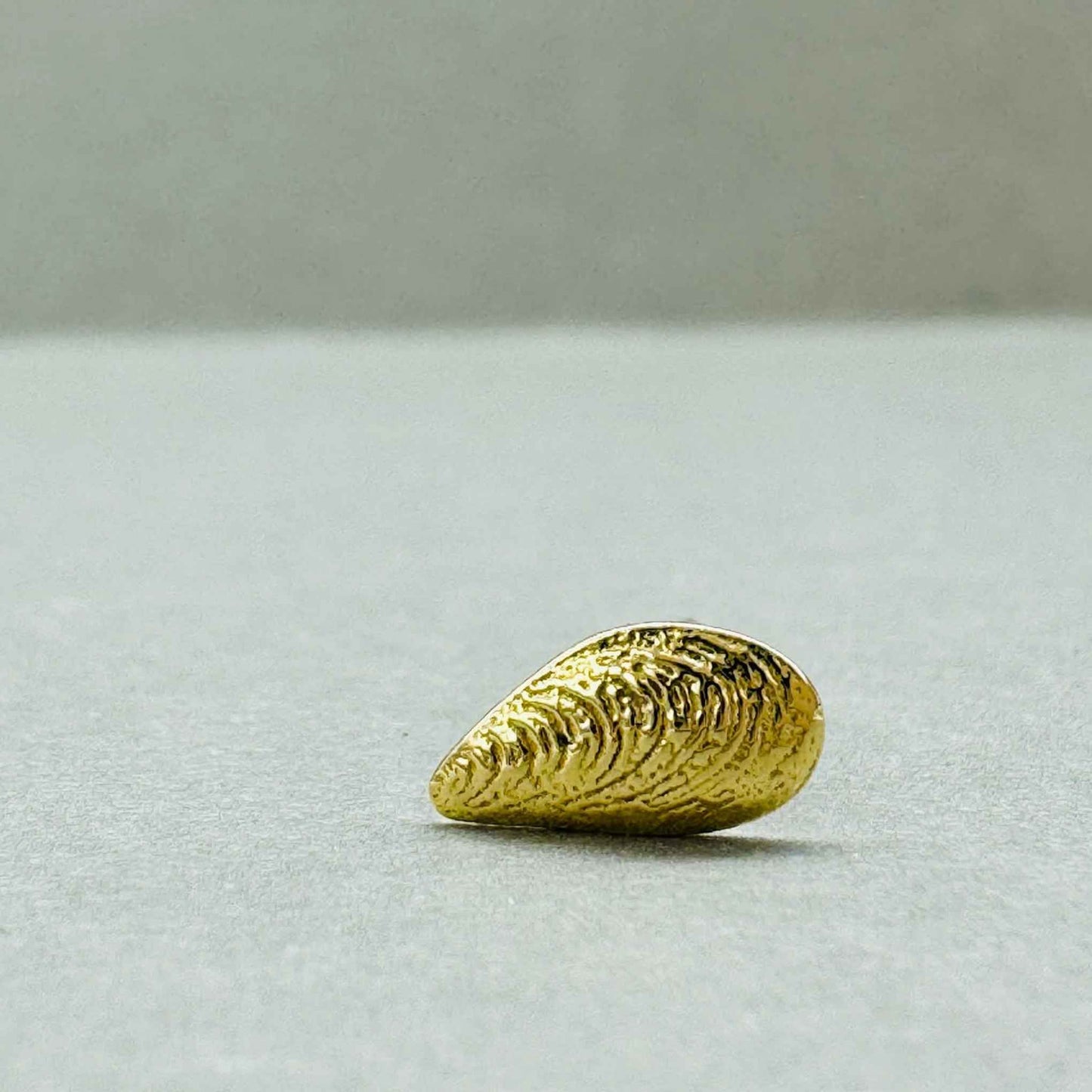 Blue Mussel Ørering