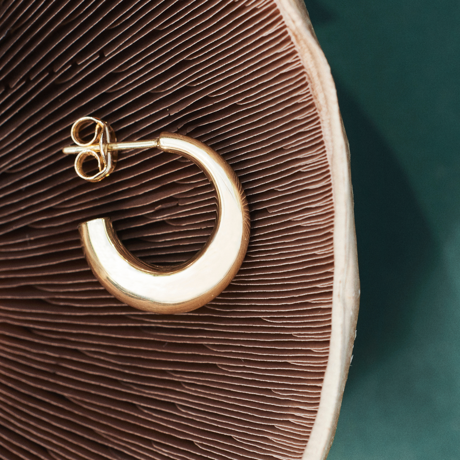 Single chunky hoop earring placed on a portobello mushroom on a green background. The organic shape of the mushroom makes the hoop earring look light and exclusive. Gold hoop earring in 18 karat, recycled, solid gold.